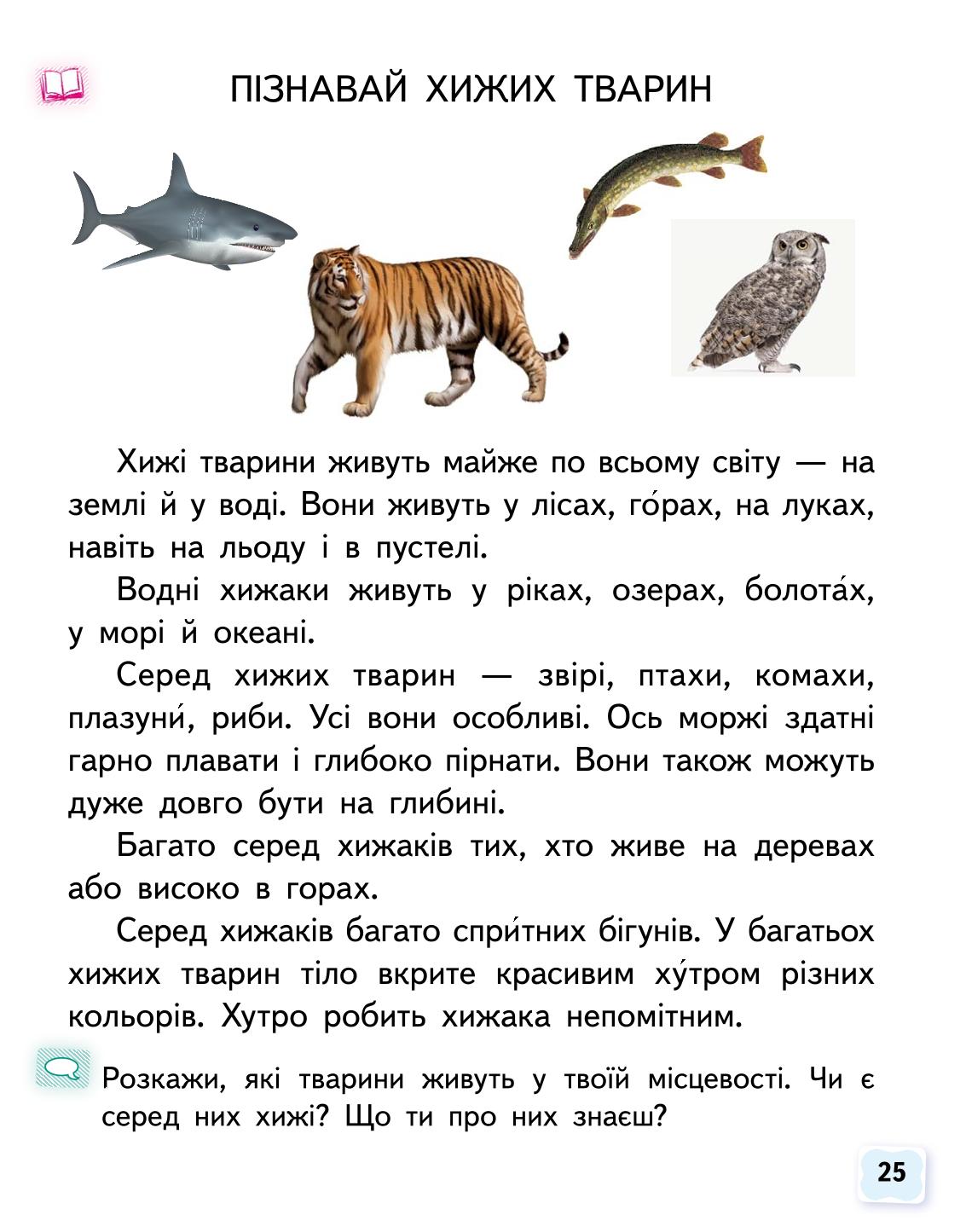 Мініатюра 25
