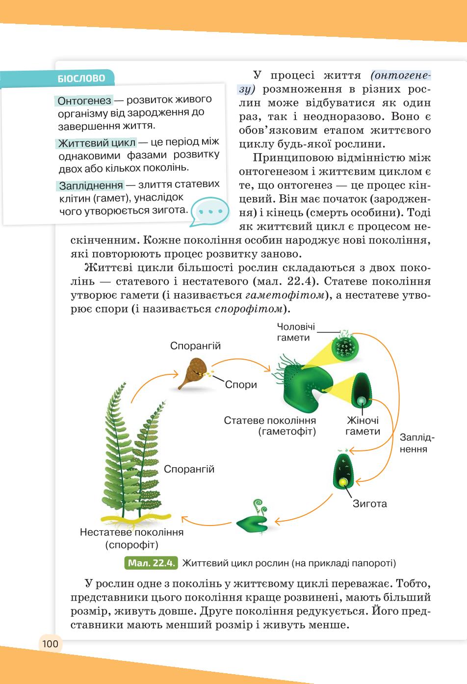 Мініатюра 100