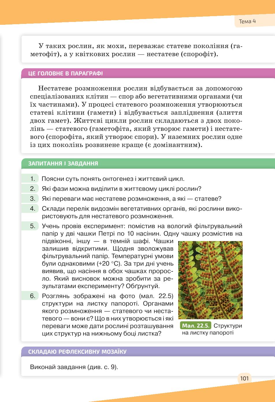 Мініатюра 101