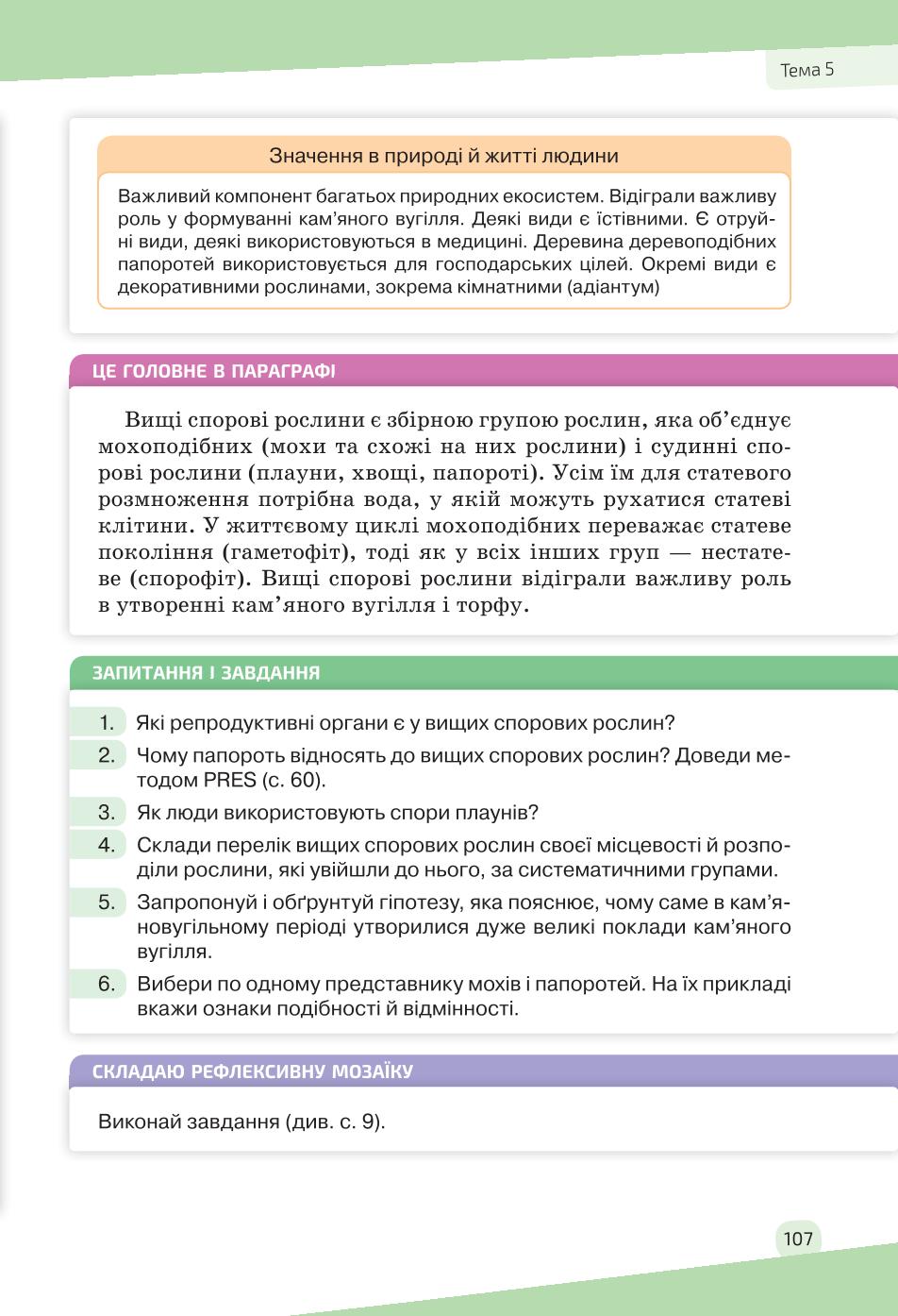 Мініатюра 107