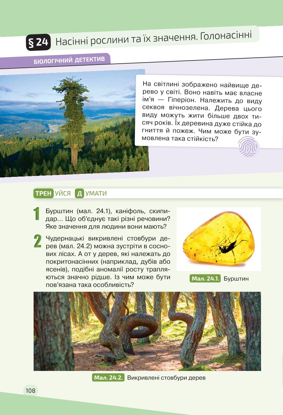 Мініатюра 108