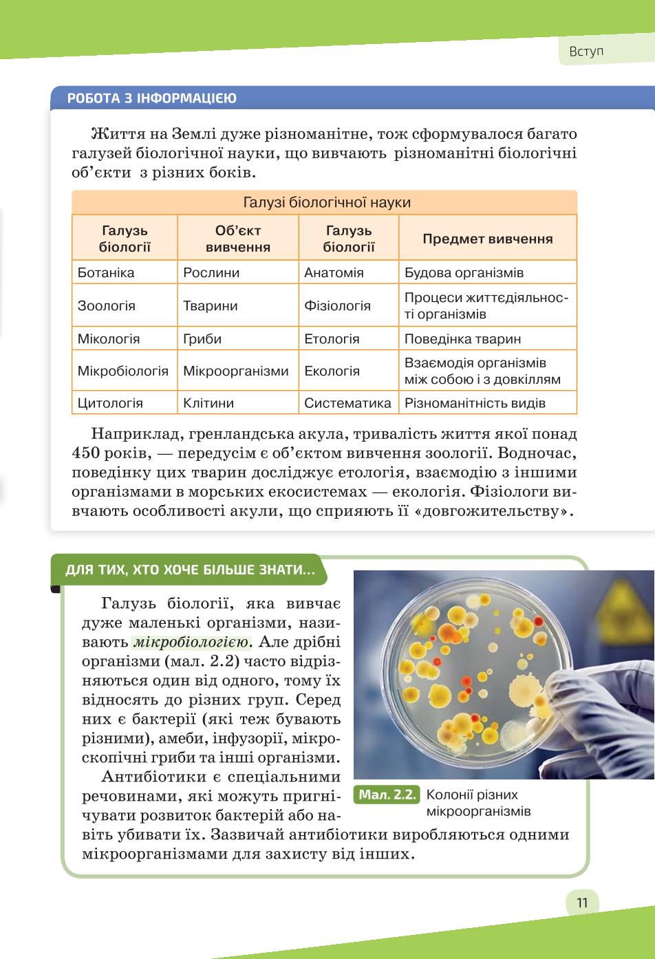 Мініатюра 11
