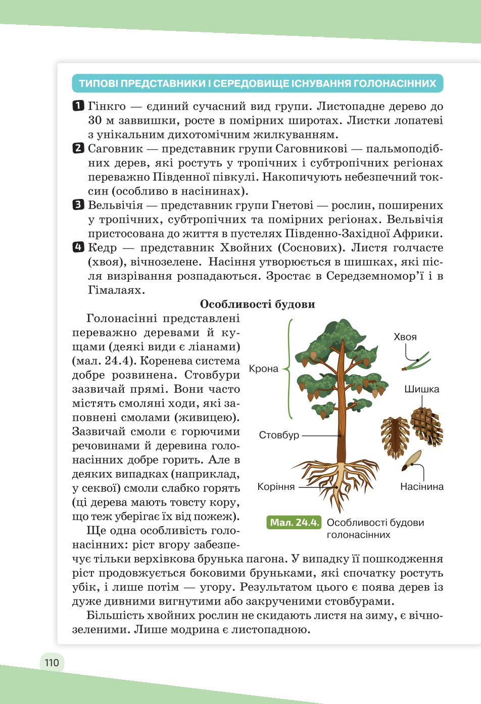 Мініатюра 110