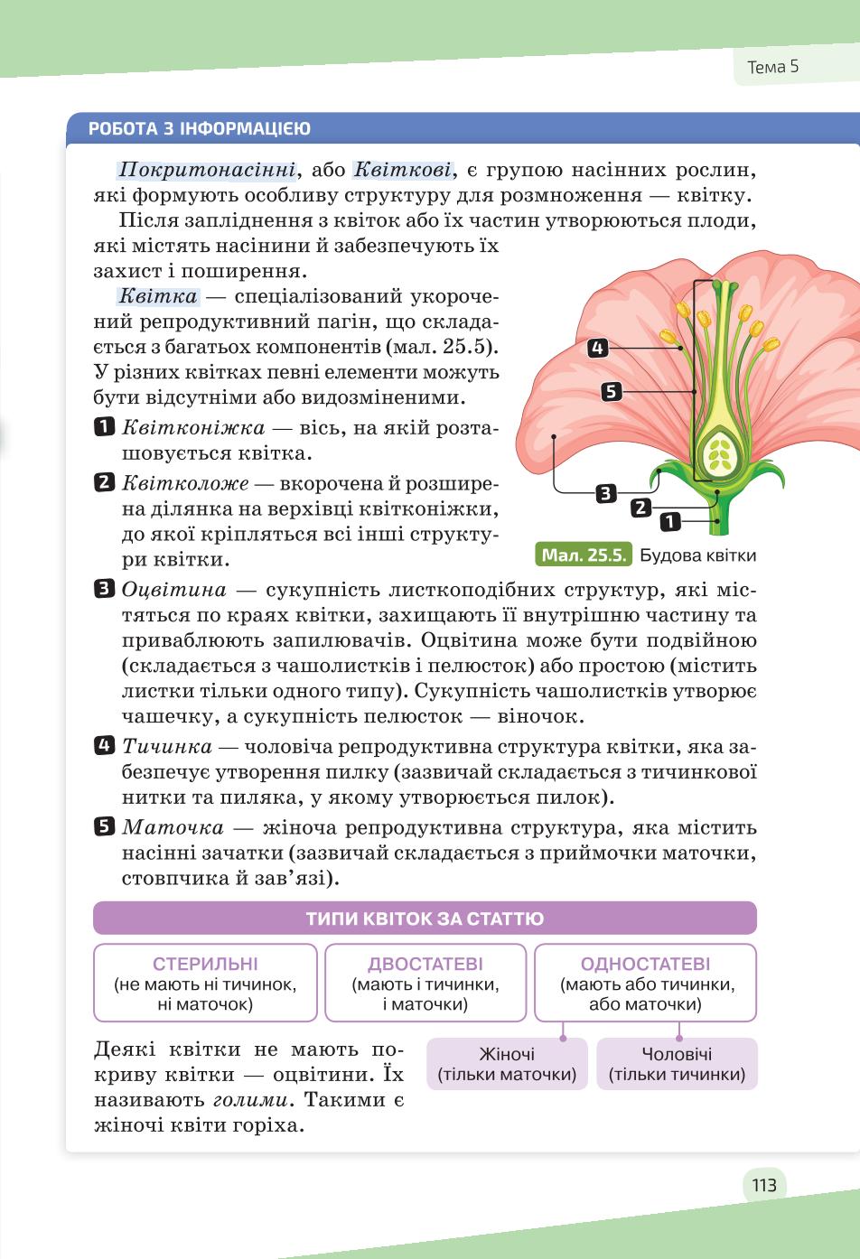 Мініатюра 113