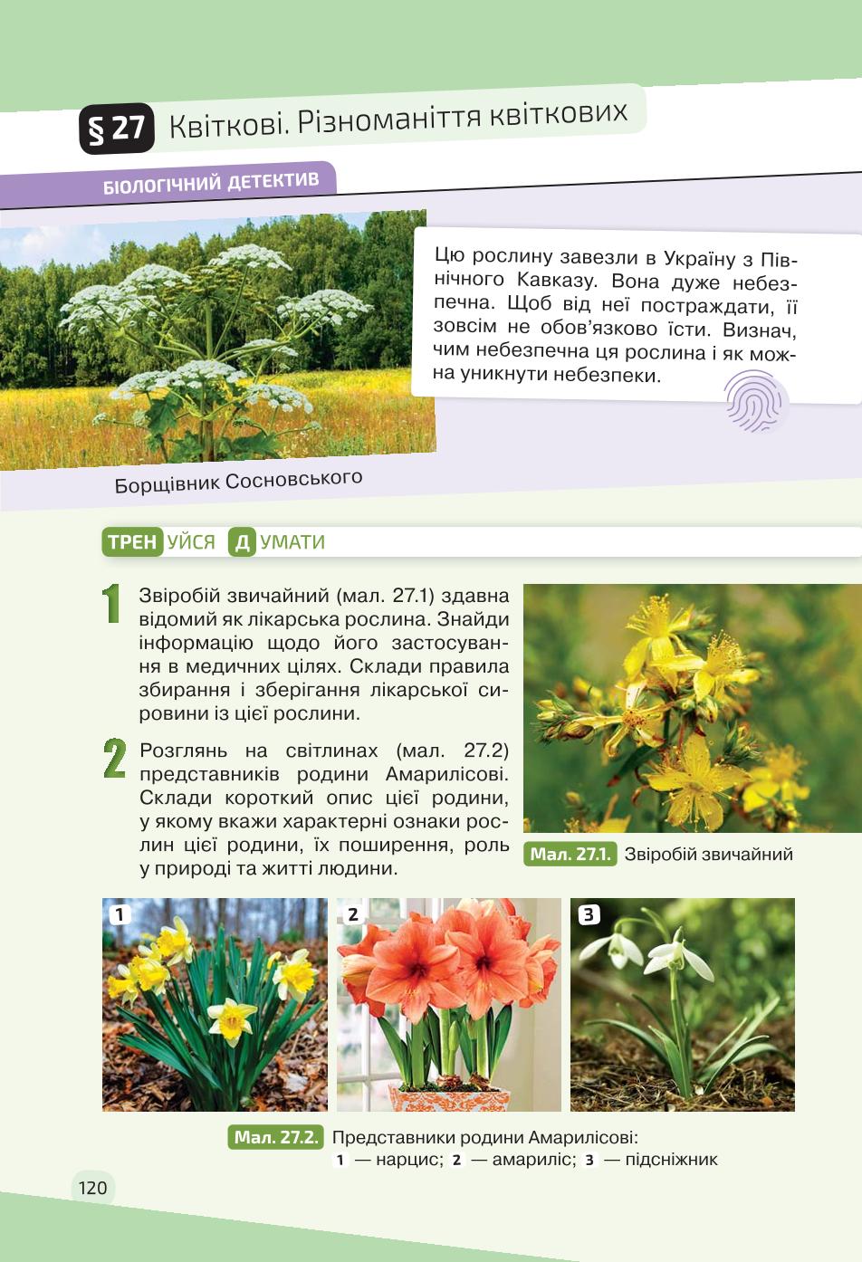 Мініатюра 120