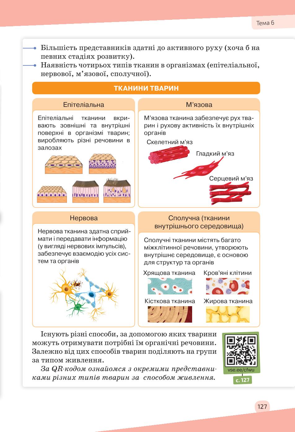 Мініатюра 127