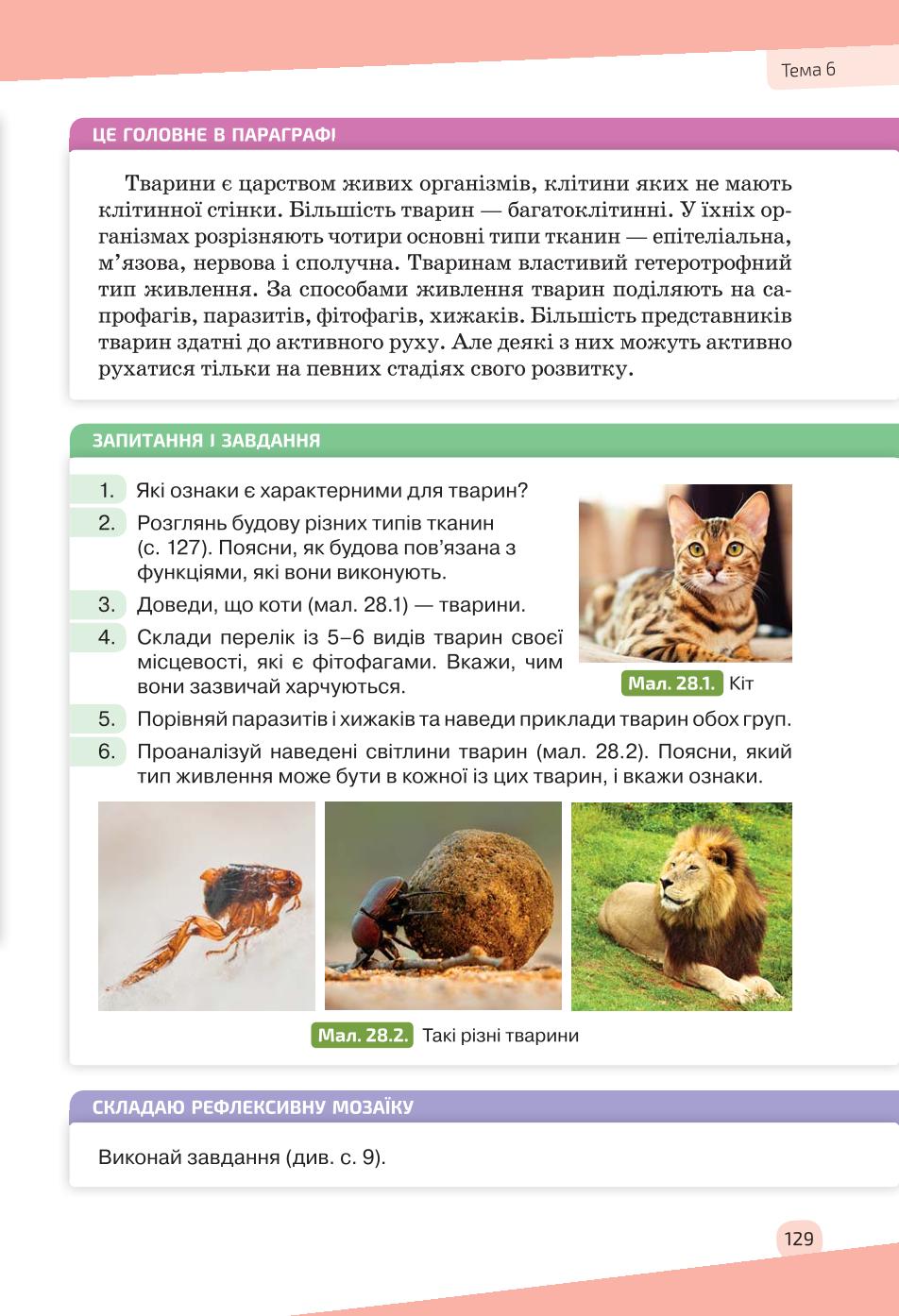 Мініатюра 129