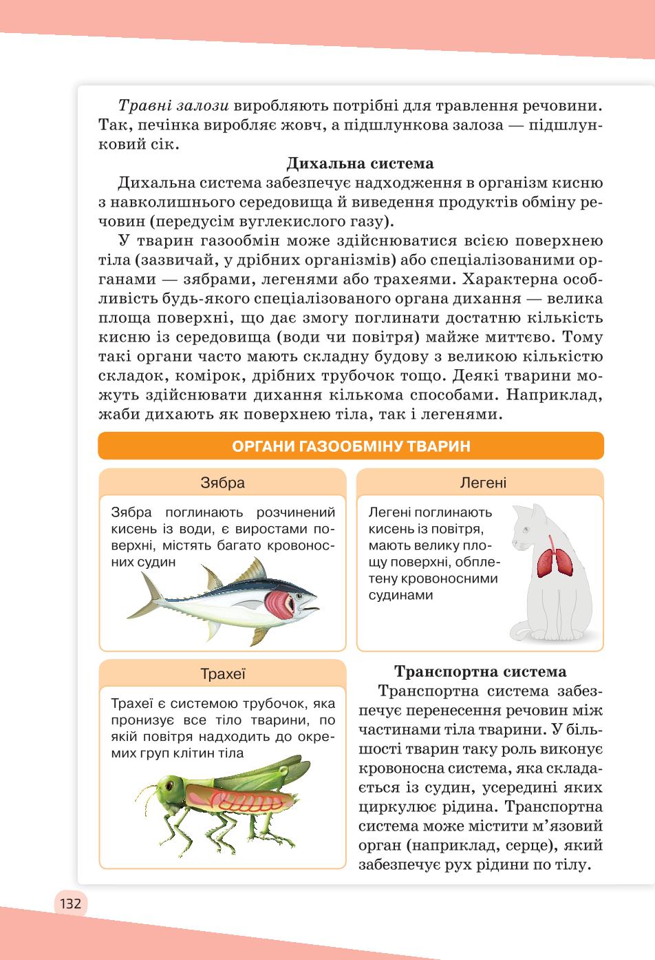 Мініатюра 132