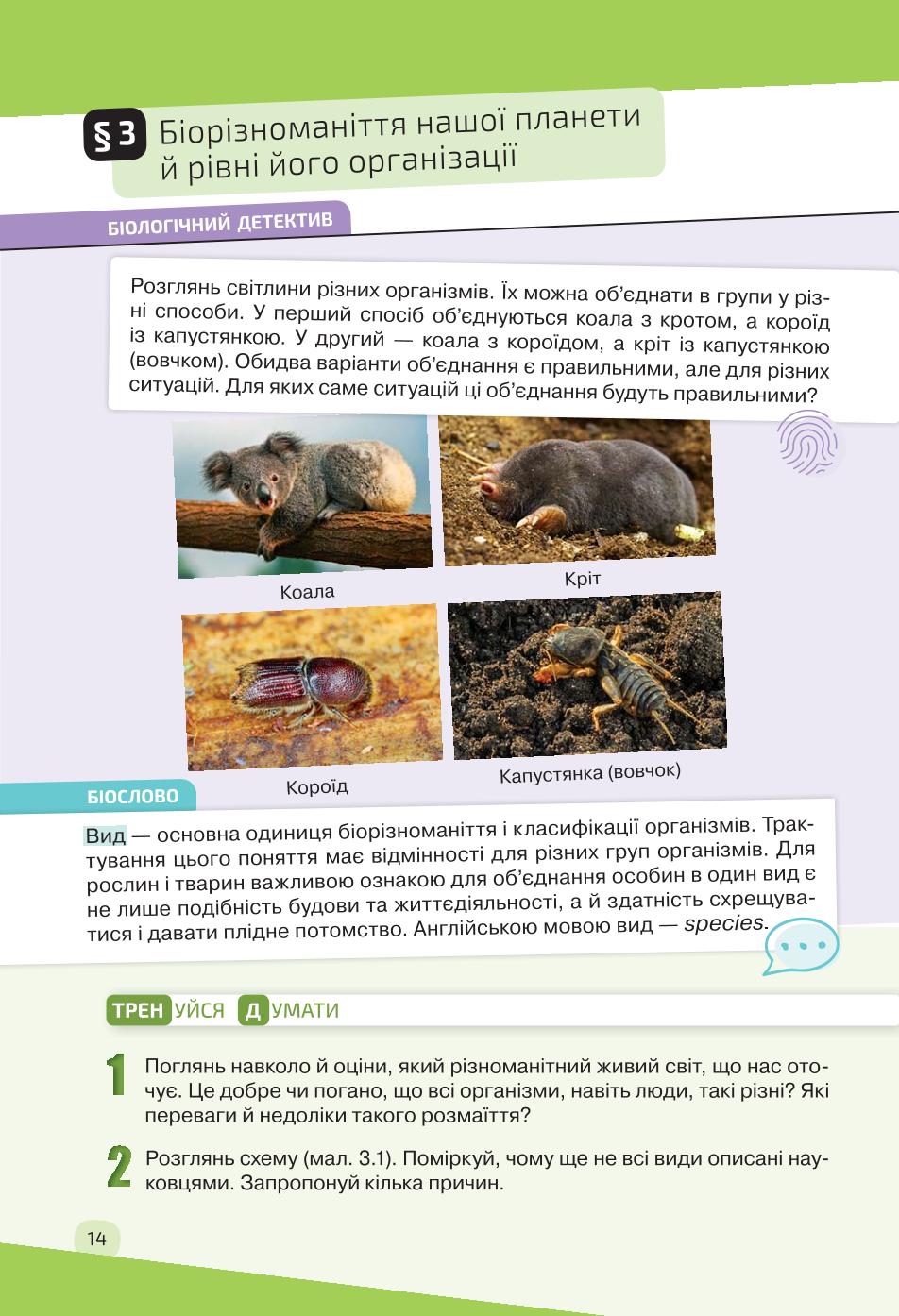 Мініатюра 14