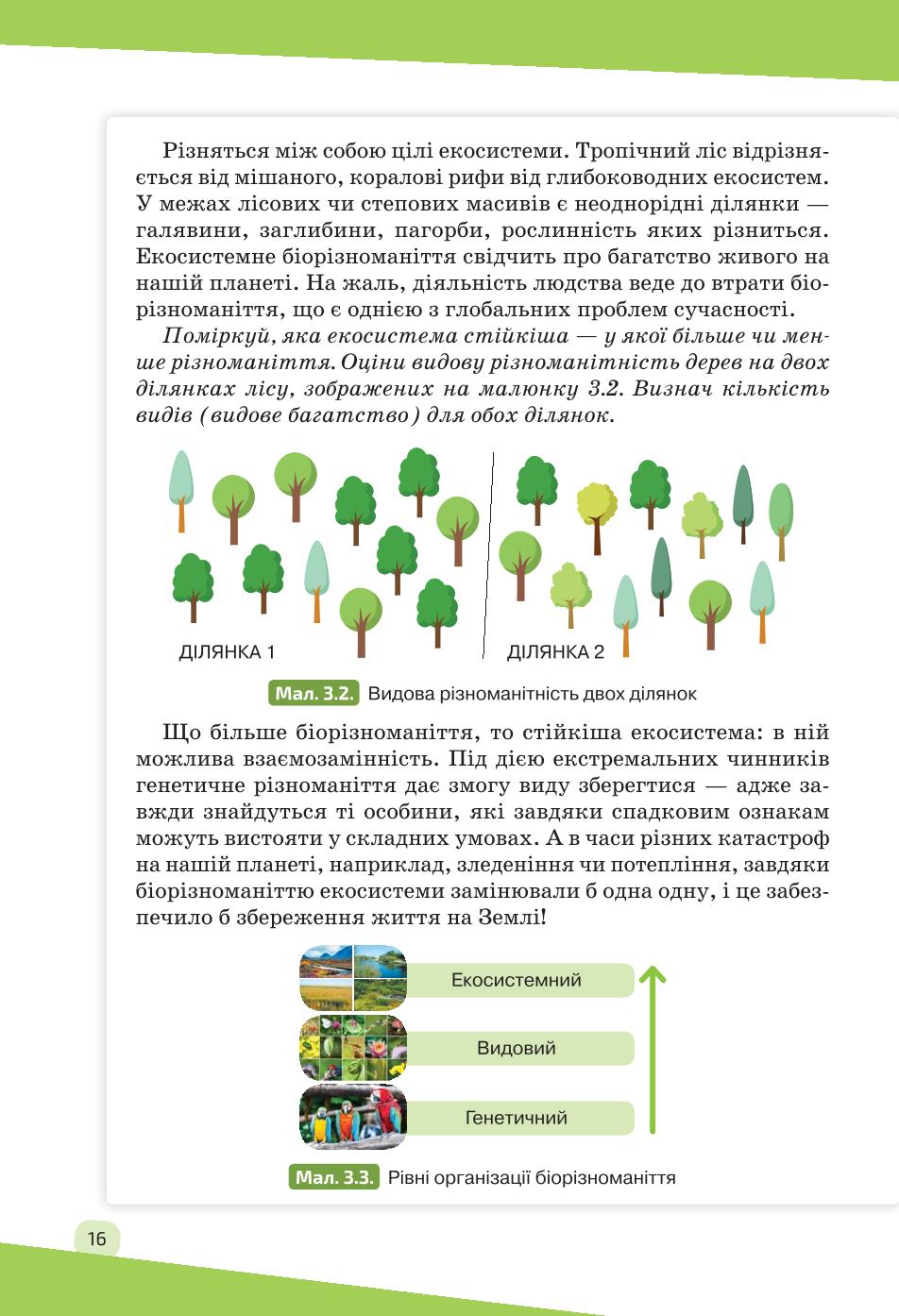 Мініатюра 16