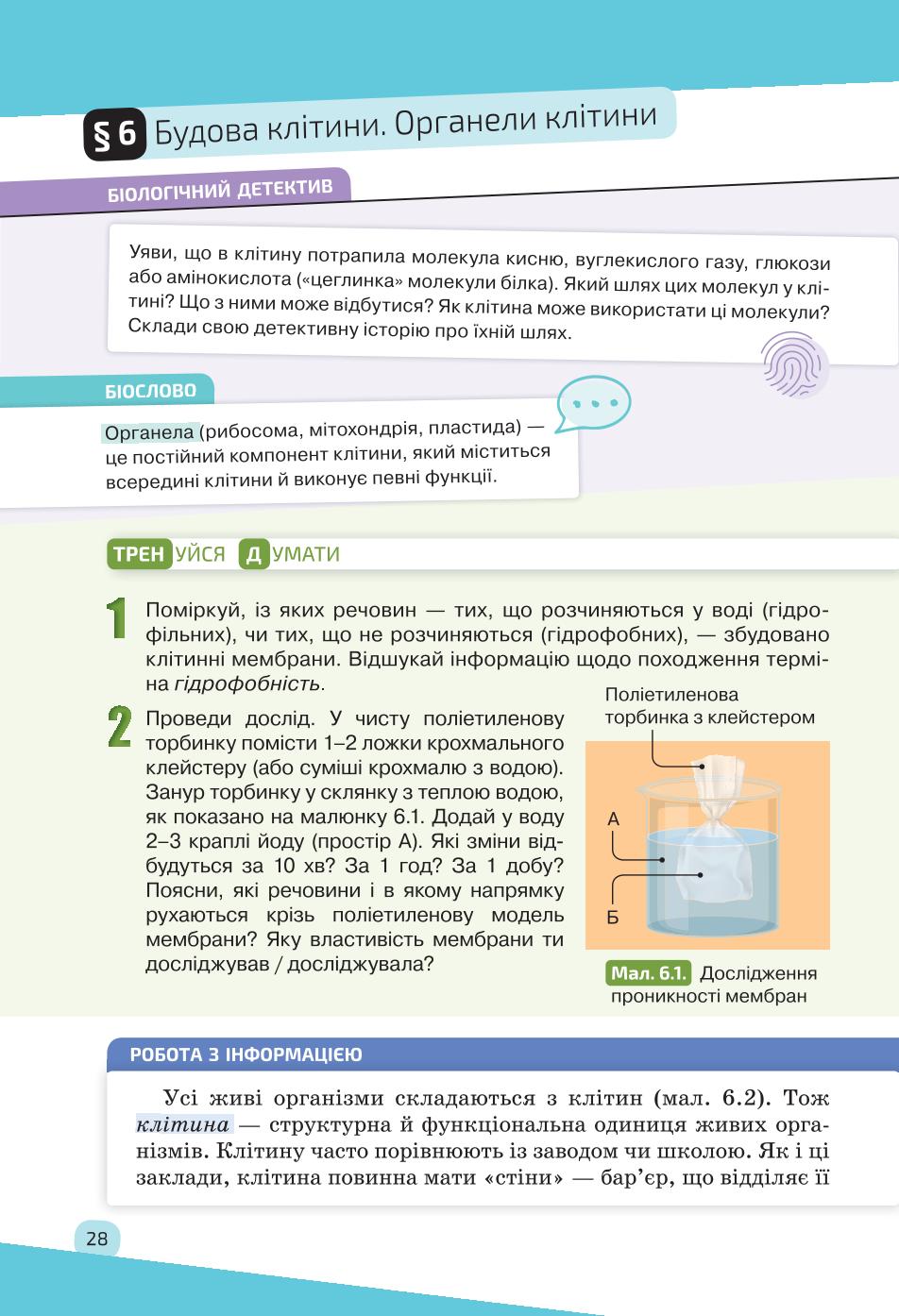 Мініатюра 28