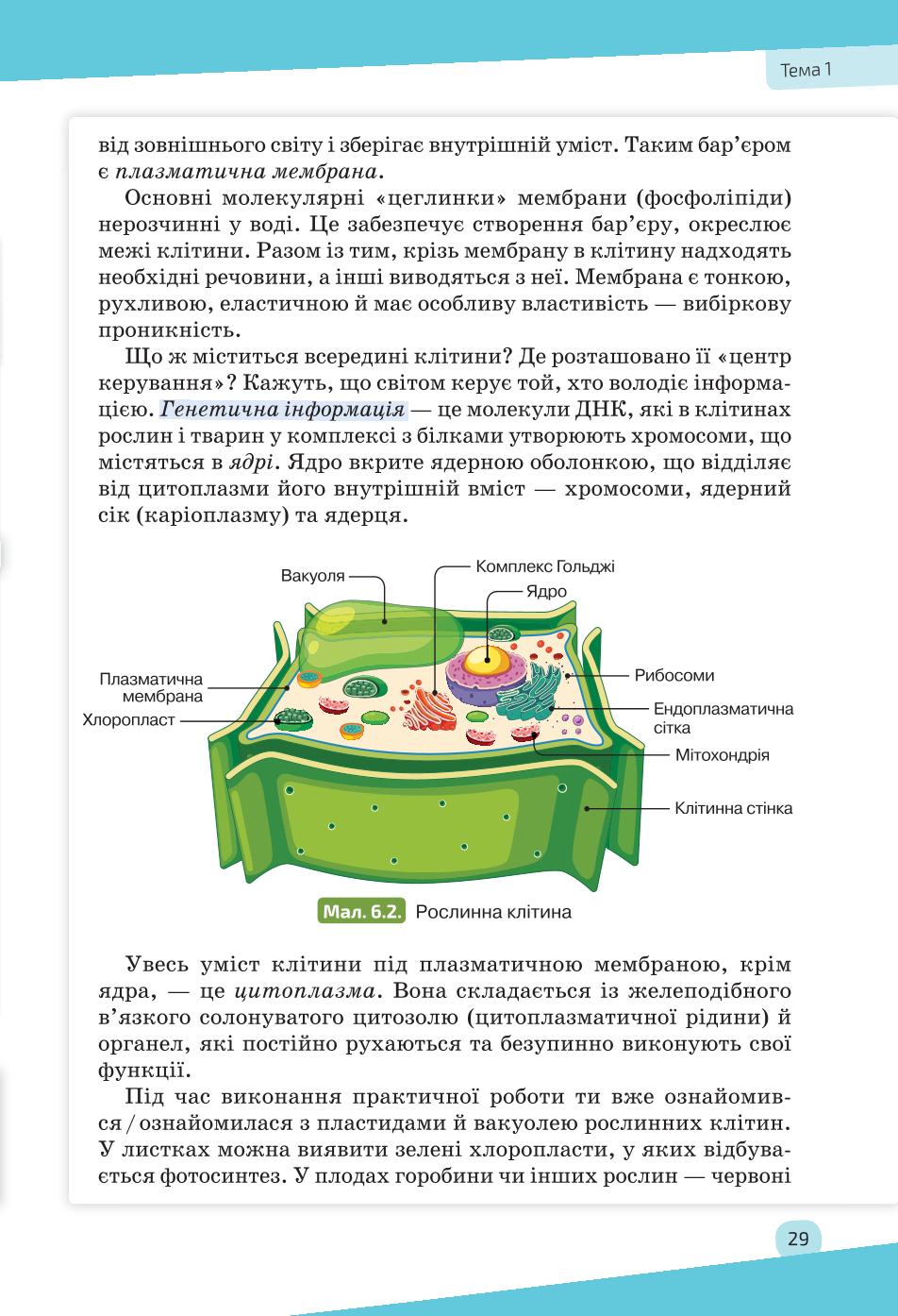 Мініатюра 29