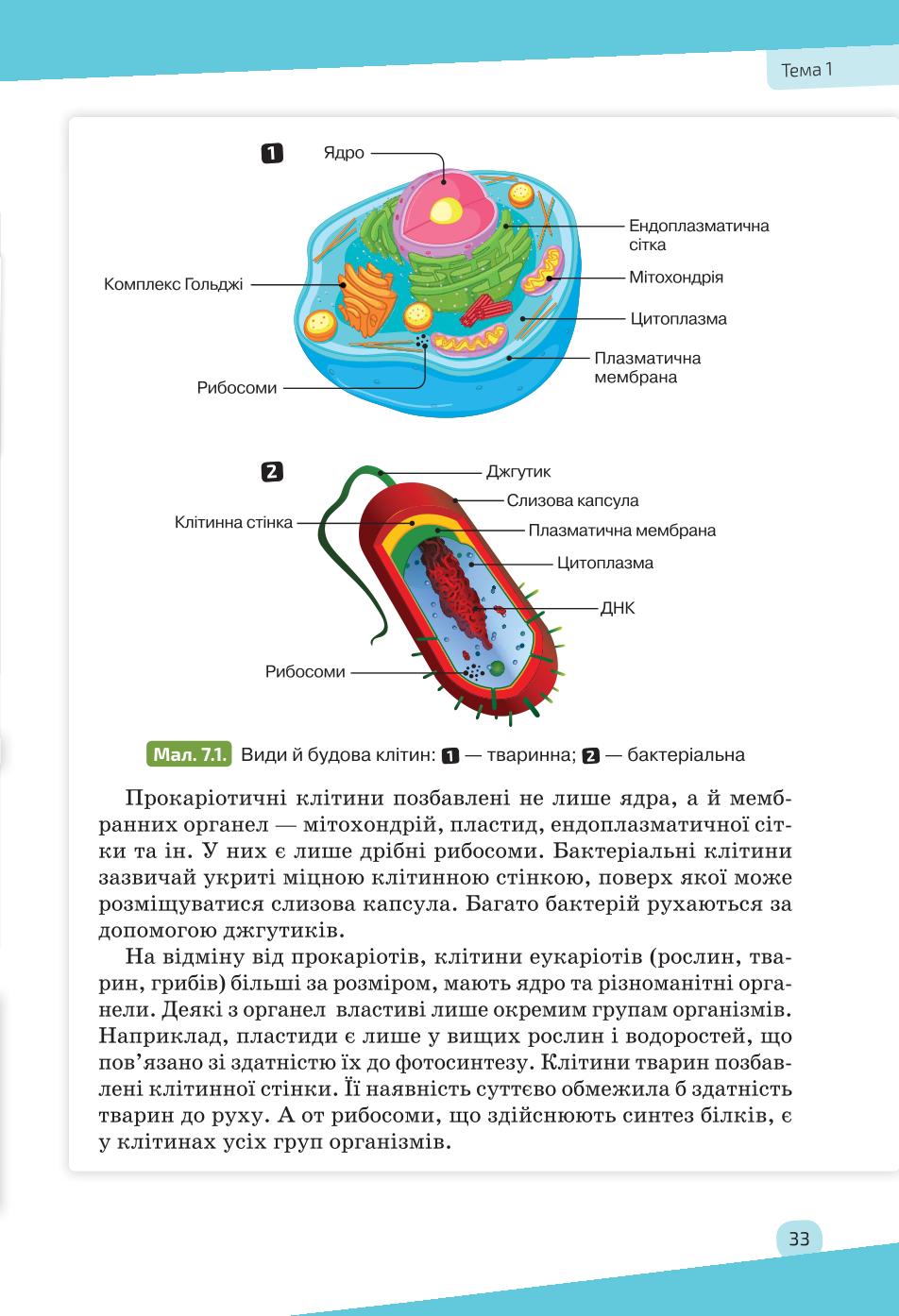 Мініатюра 33