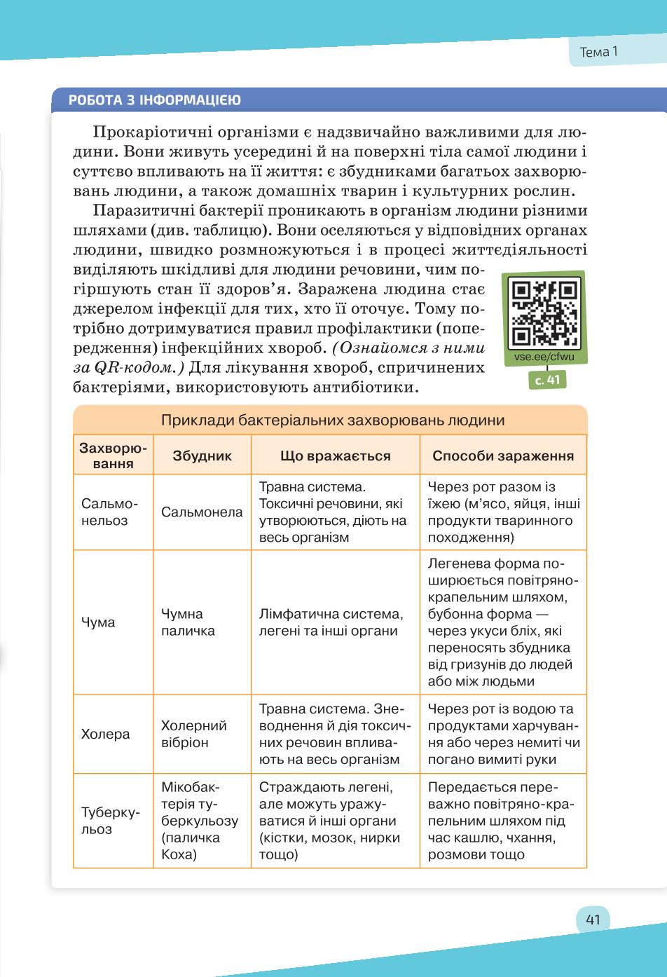 Мініатюра 41