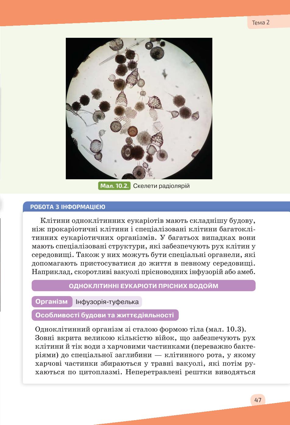 Мініатюра 47