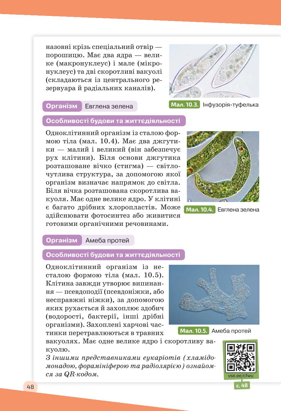 Мініатюра 48
