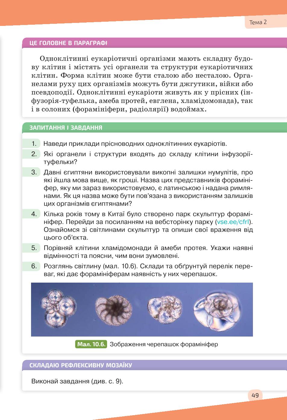 Мініатюра 49
