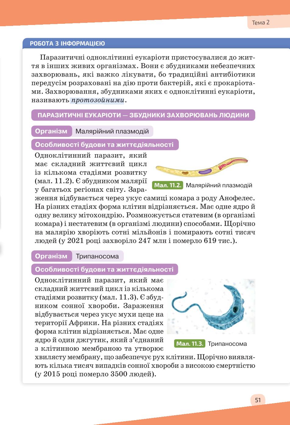 Мініатюра 51