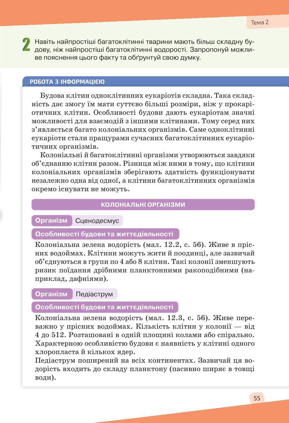 Мініатюра 55
