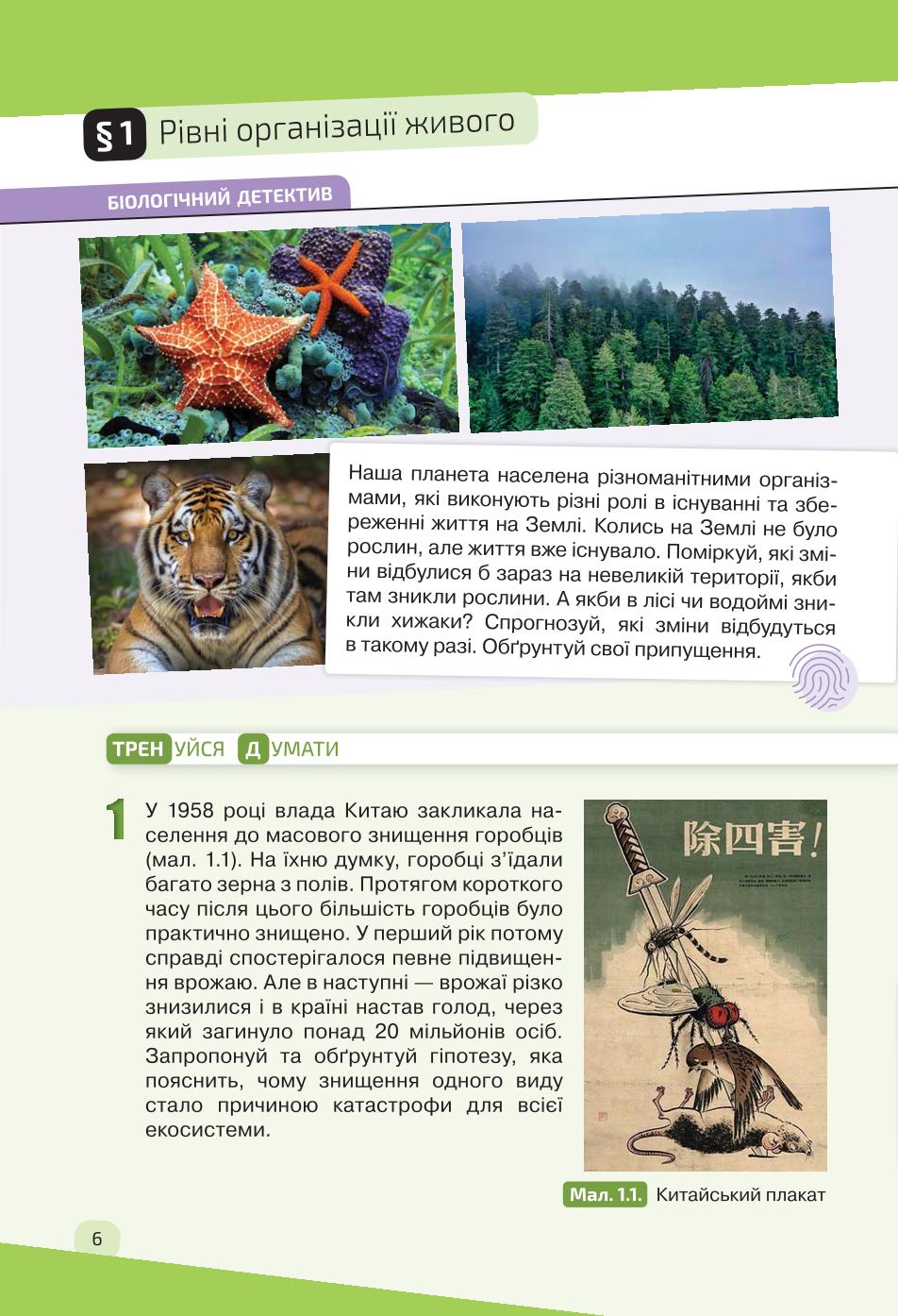 Мініатюра 6