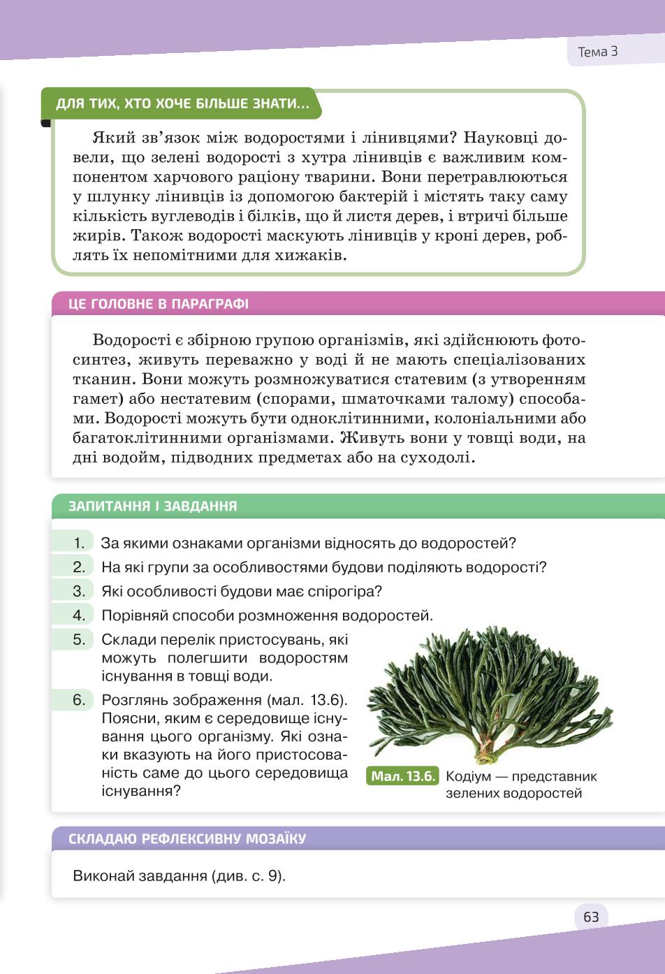 Мініатюра 63