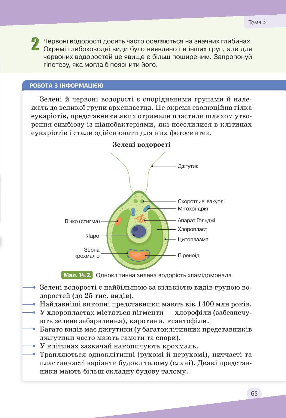 Мініатюра 65