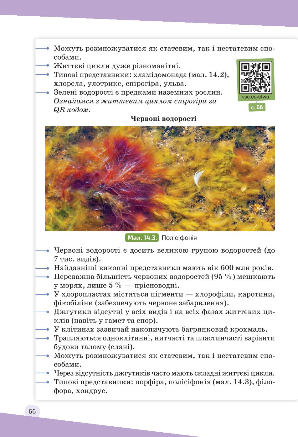 Мініатюра 66