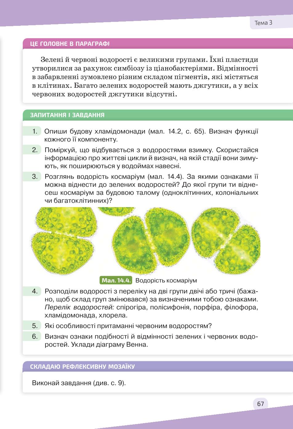Мініатюра 67