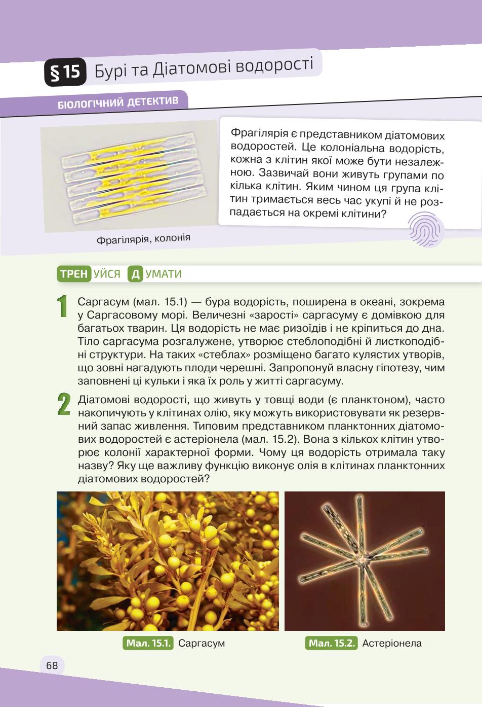 Мініатюра 68