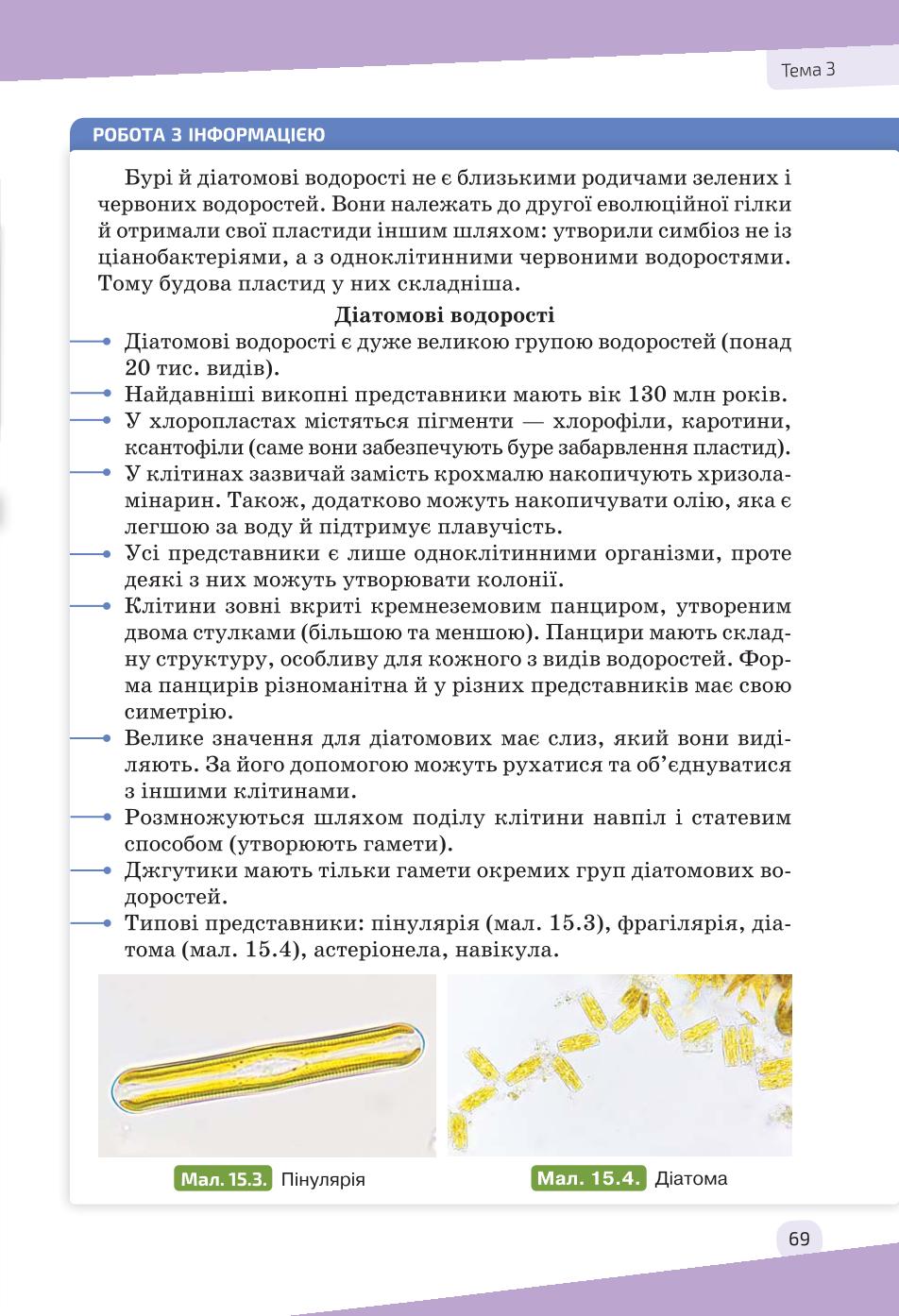Мініатюра 69