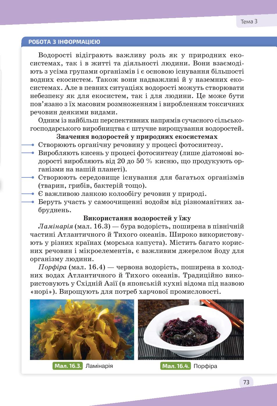 Мініатюра 73