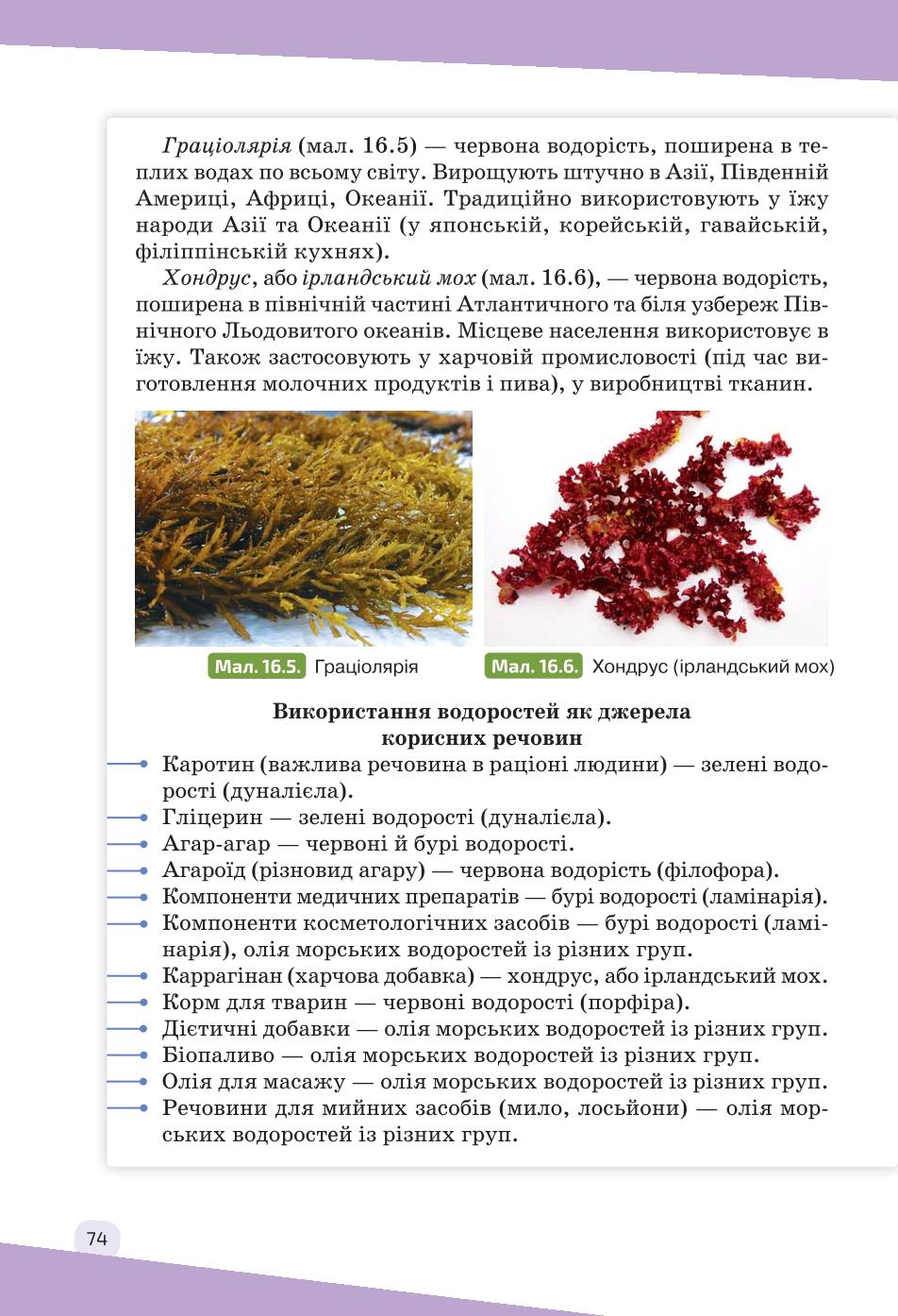 Мініатюра 74