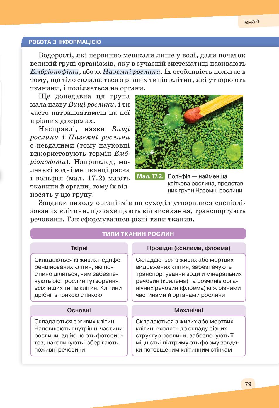 Мініатюра 79