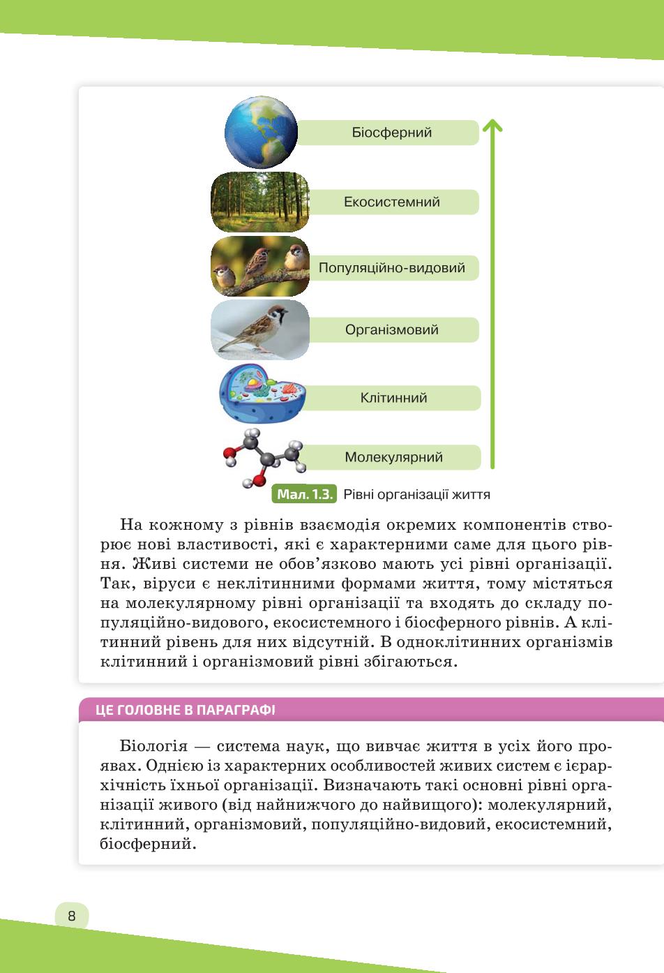 Мініатюра 8