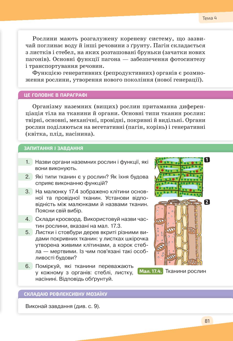 Мініатюра 81