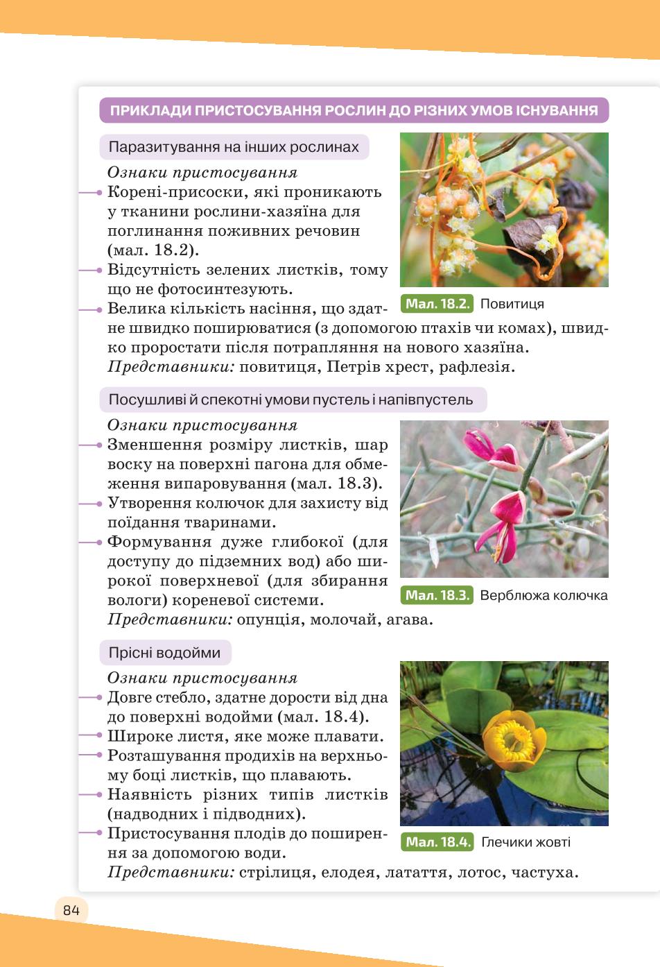 Мініатюра 84