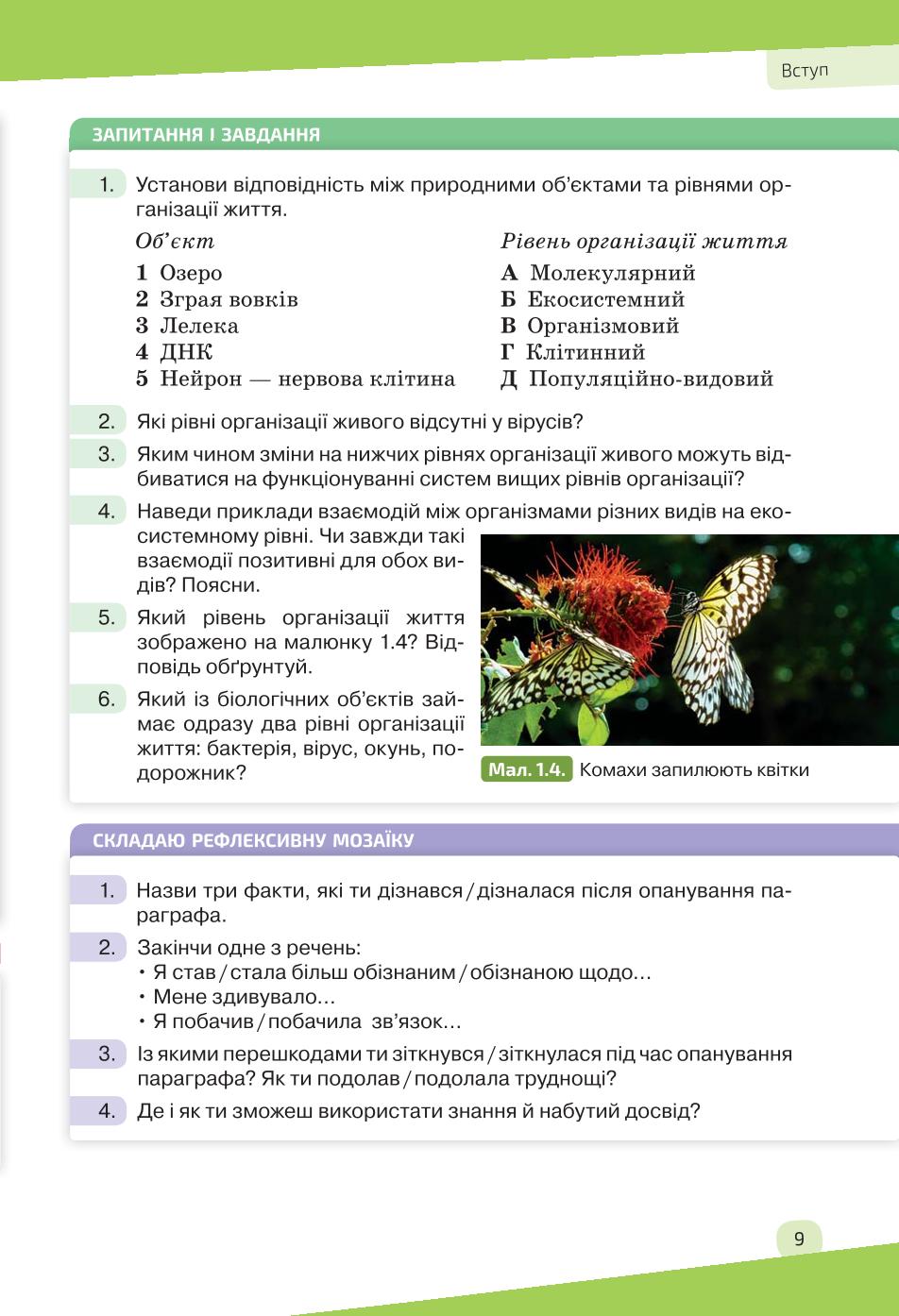 Мініатюра 9