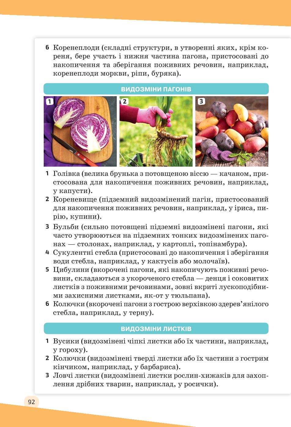 Мініатюра 92
