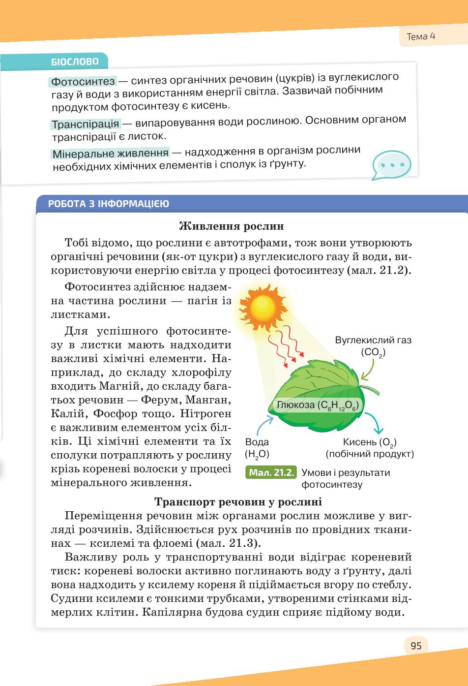 Мініатюра 95