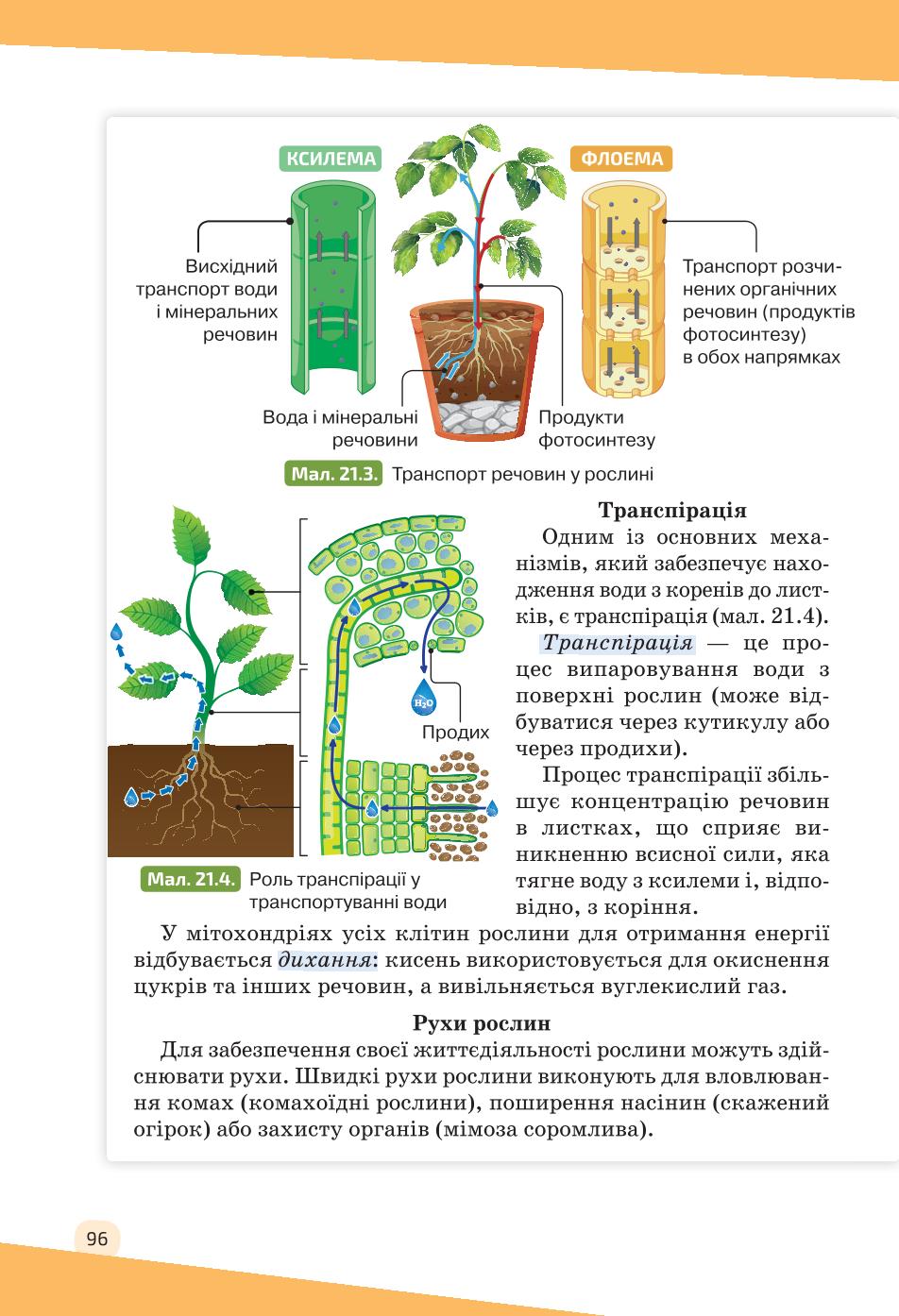 Мініатюра 96