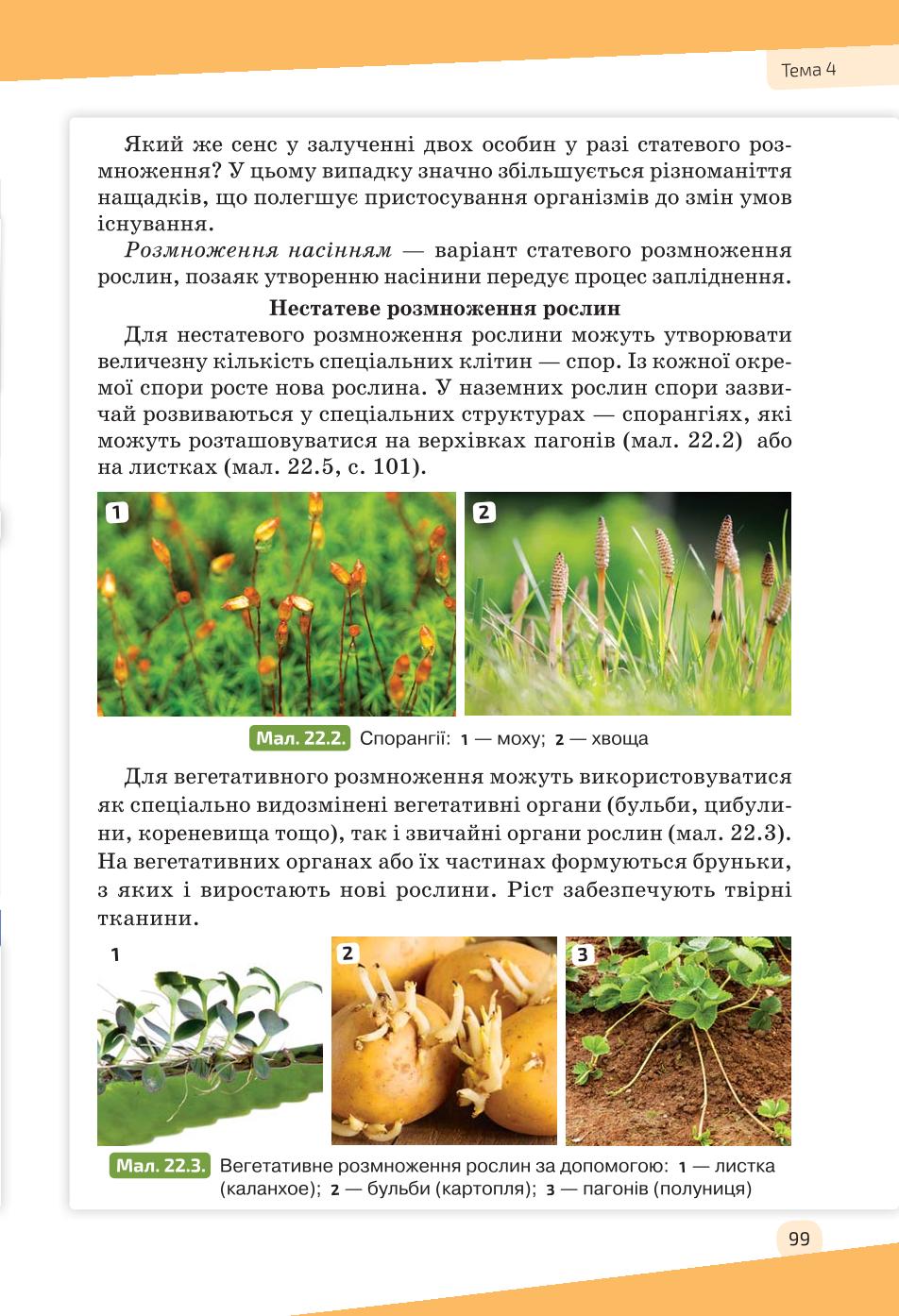 Мініатюра 99