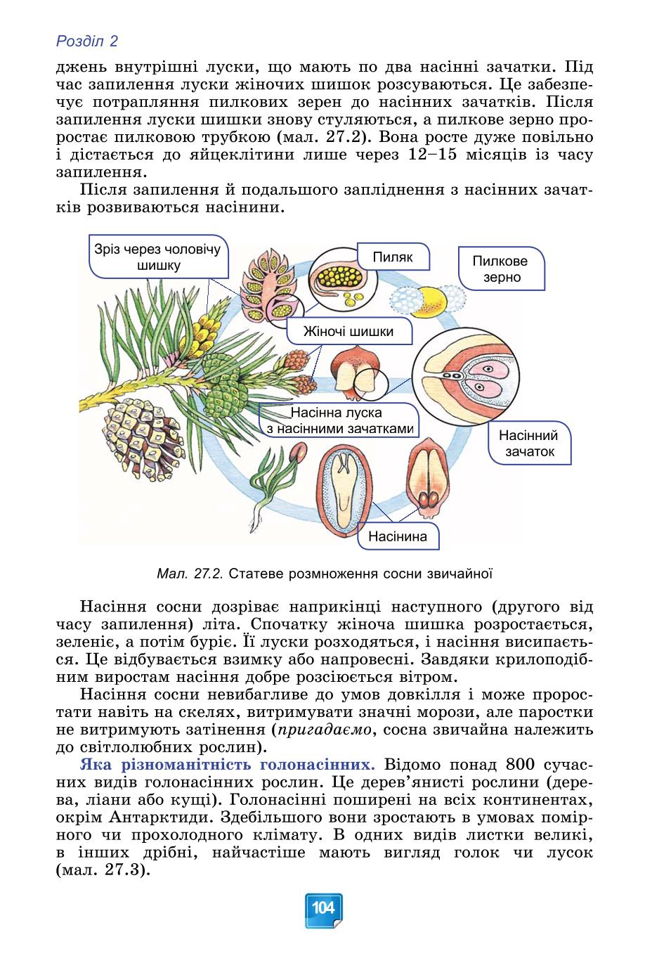 Мініатюра 104