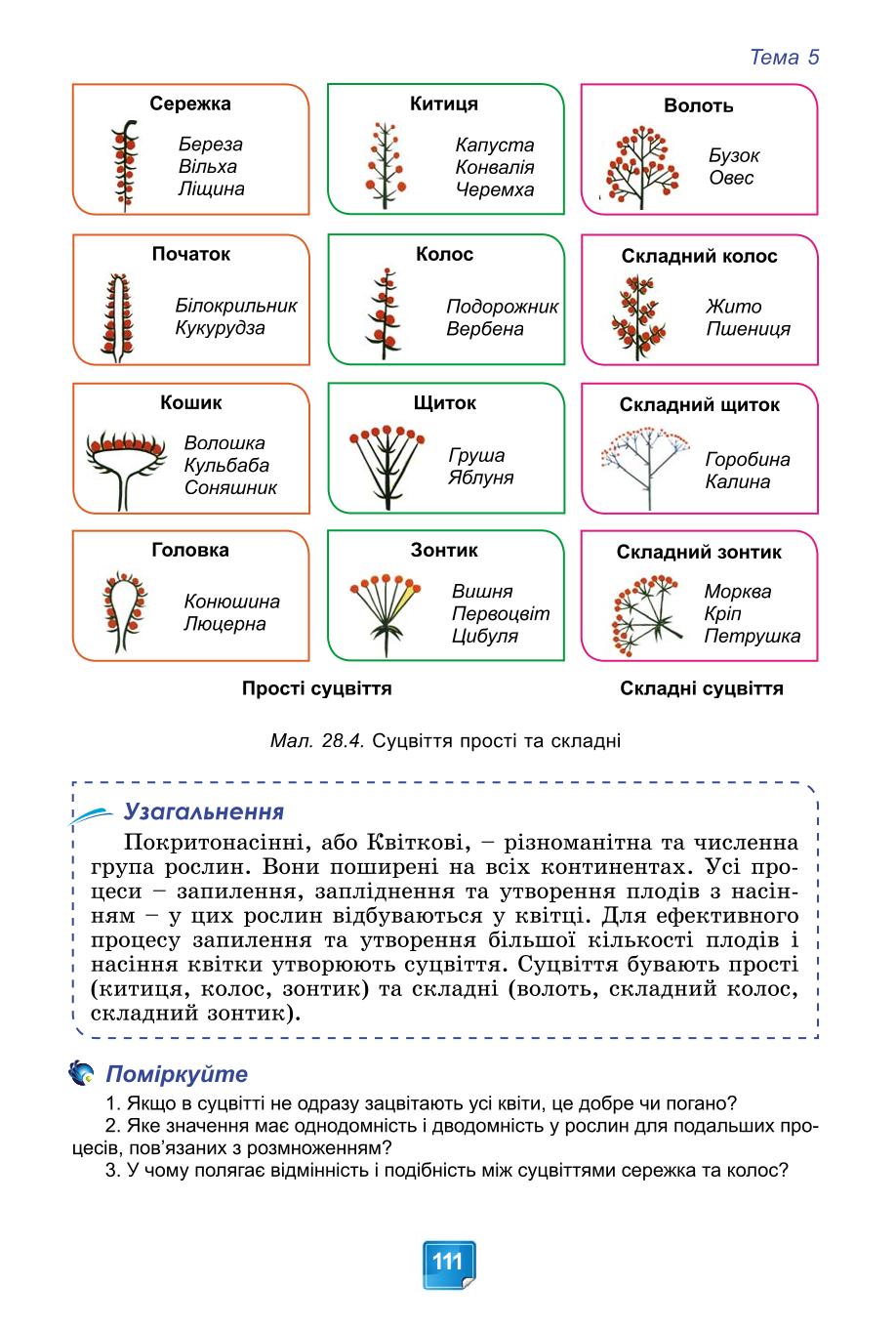 Мініатюра 111