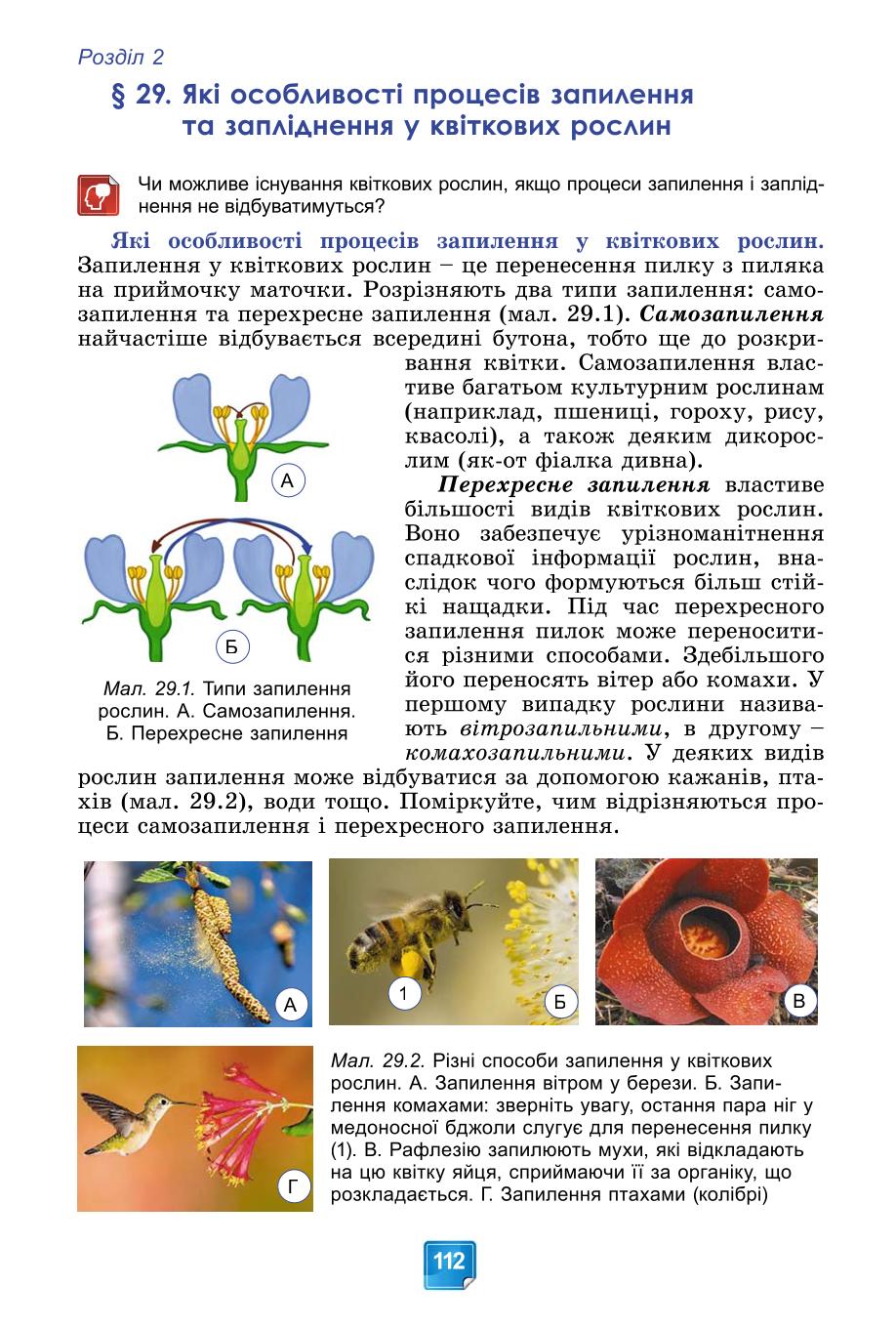 Мініатюра 112