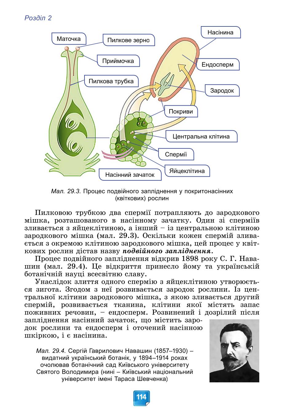Мініатюра 114