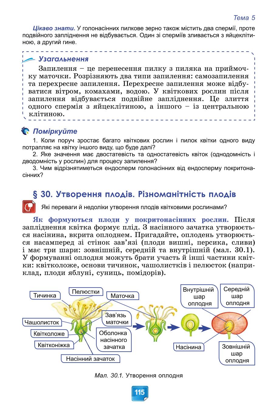Мініатюра 115