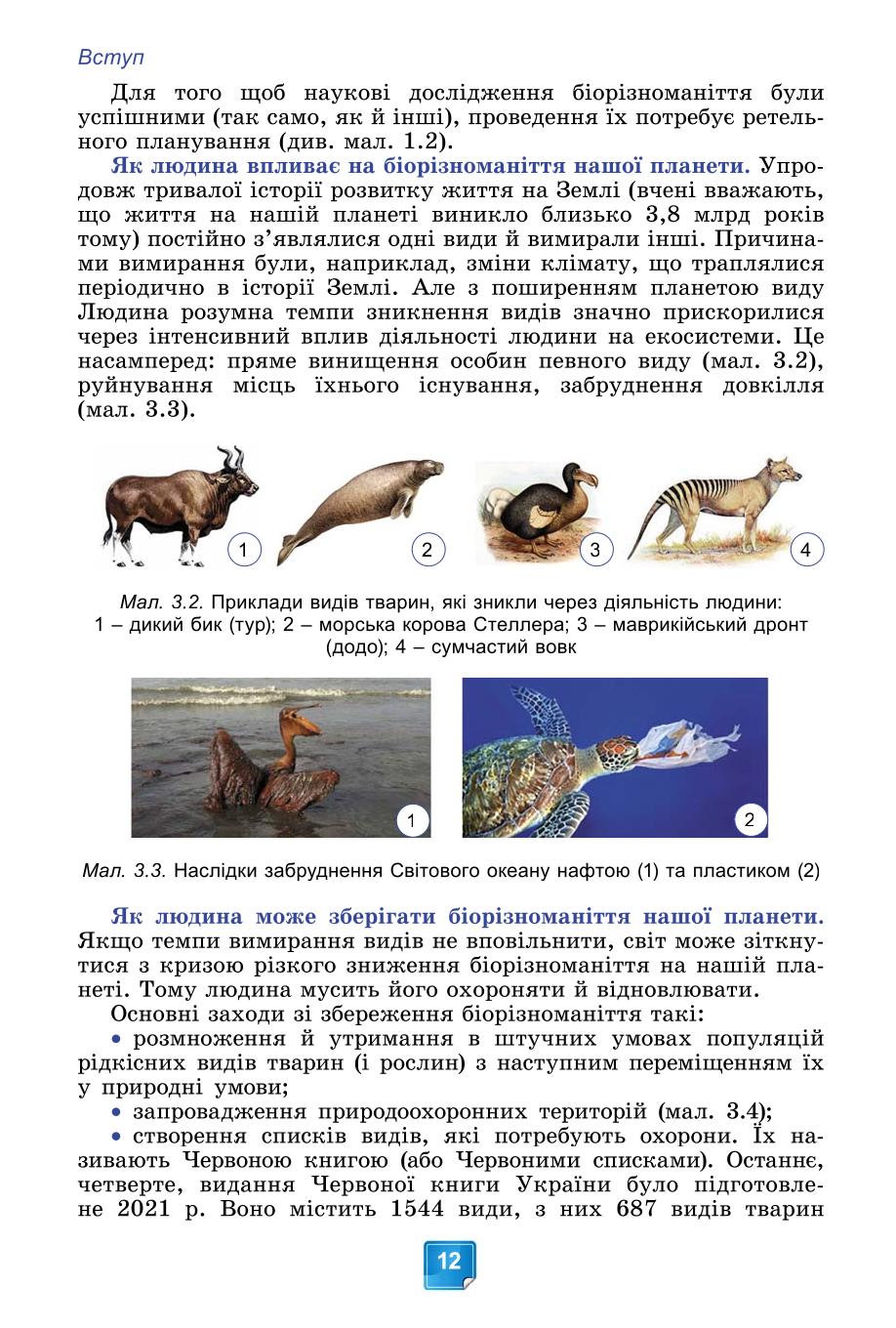 Мініатюра 12