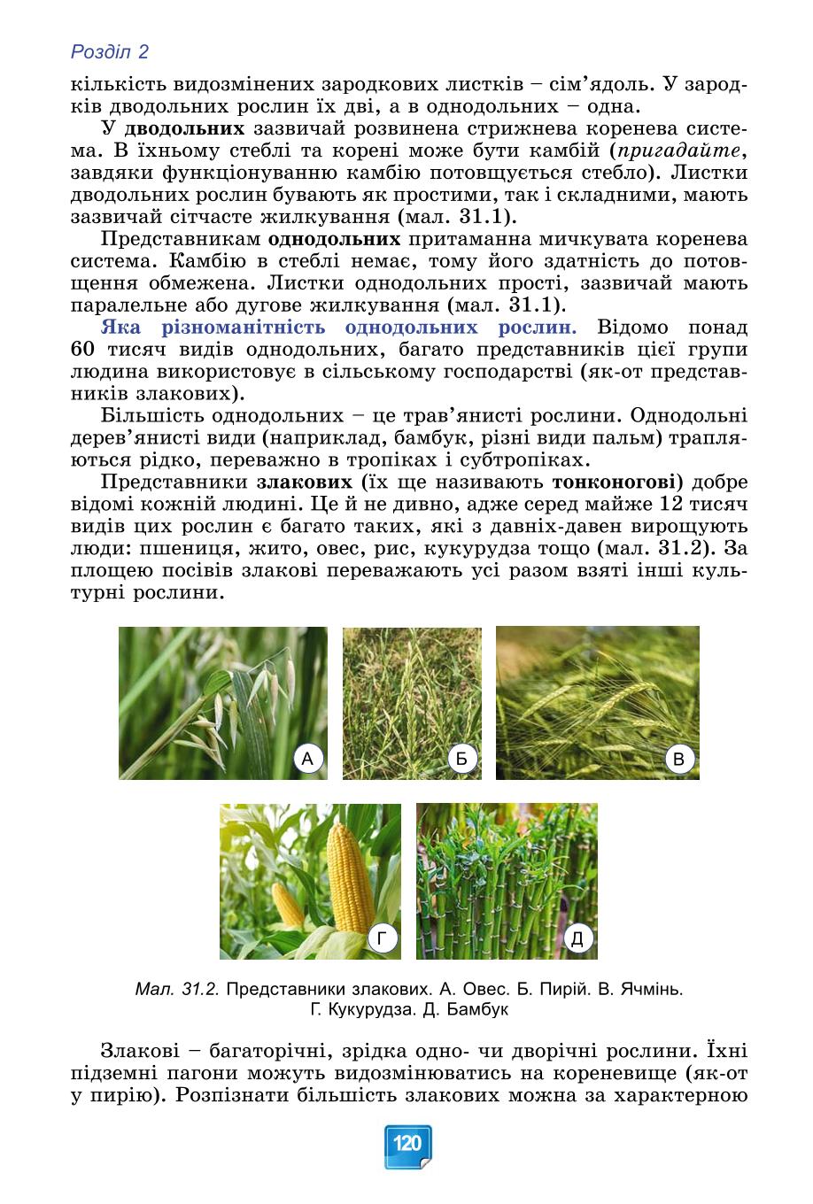 Мініатюра 120