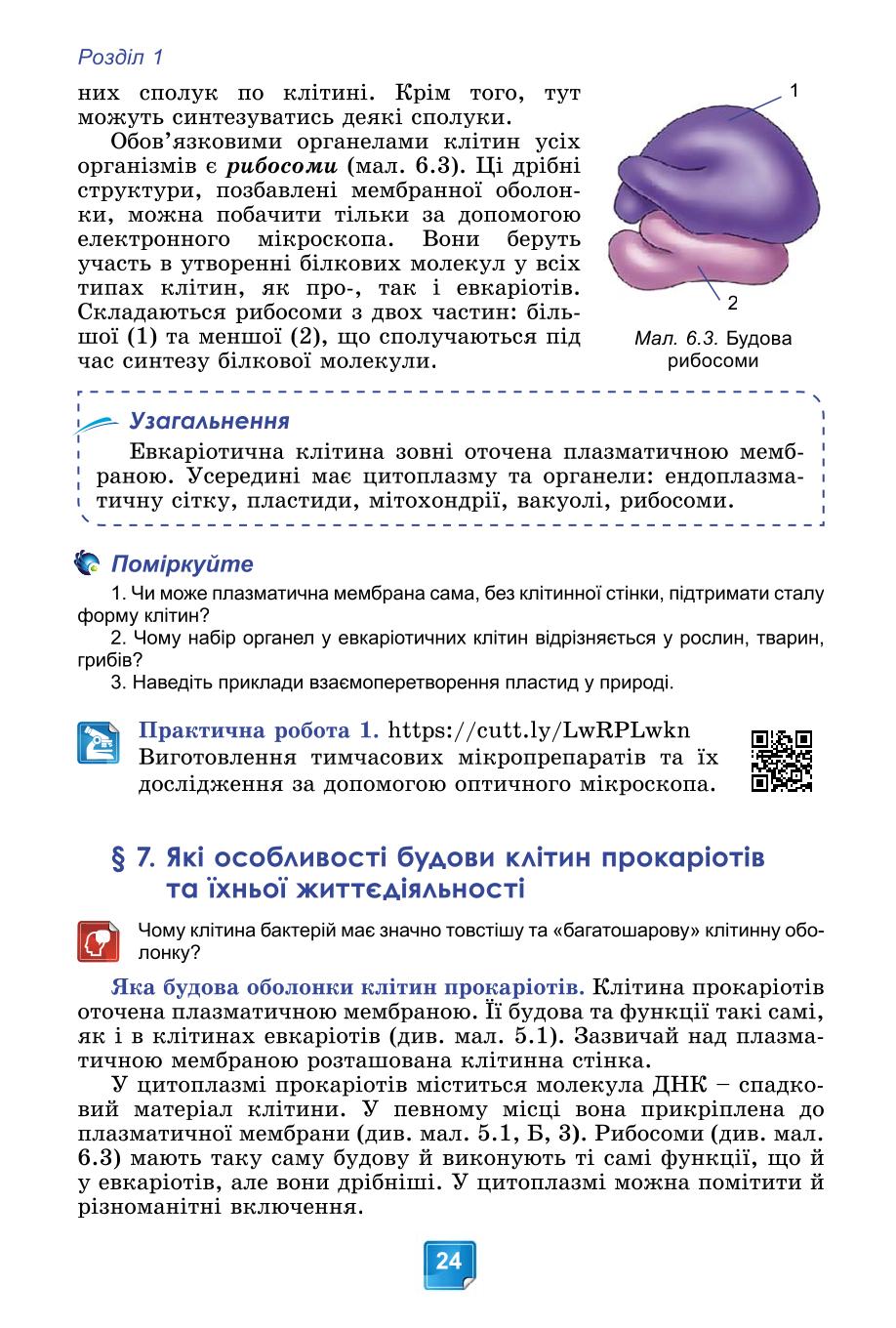 Мініатюра 24