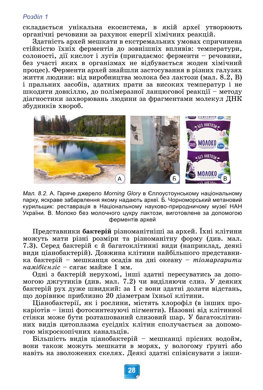 Мініатюра 28